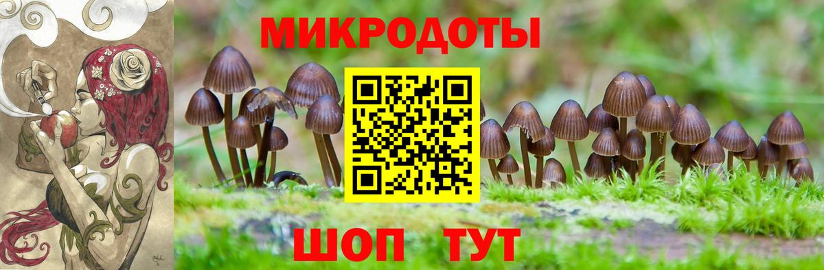 Галлюциногенные грибы прущие грибы Севастополь